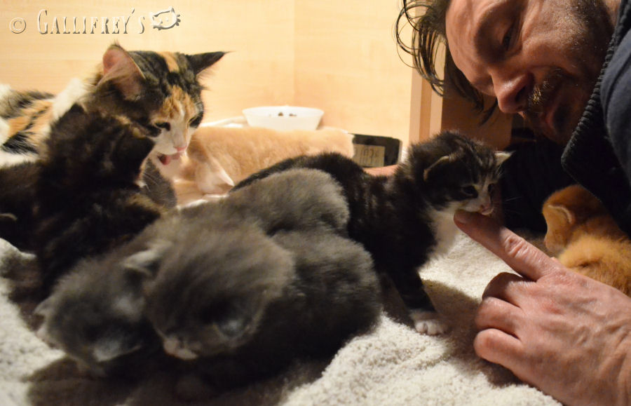 开云电竞app下载安装