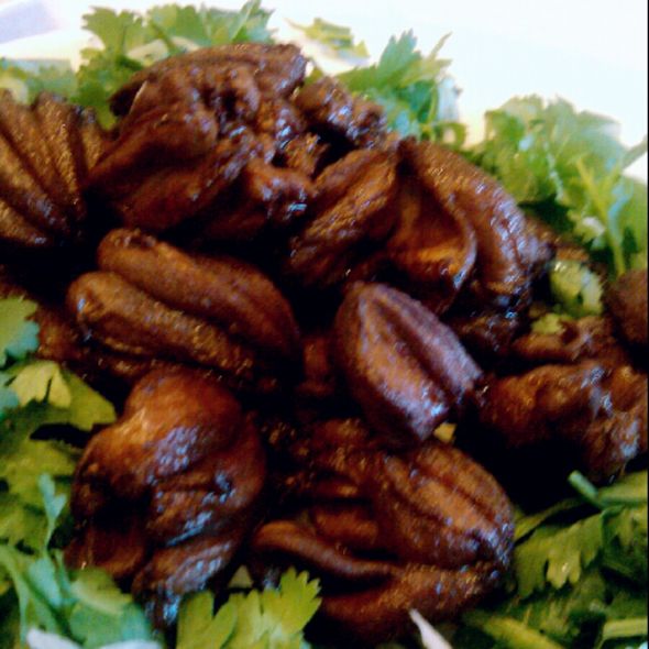 磁控约束带招标如何定标底【开云电竞app下载安装】(图1) 开云电竞app下载安装