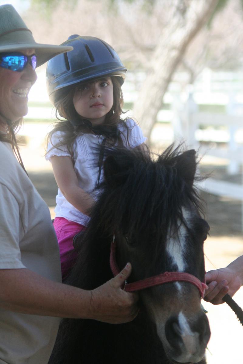 开云电竞app下载安装