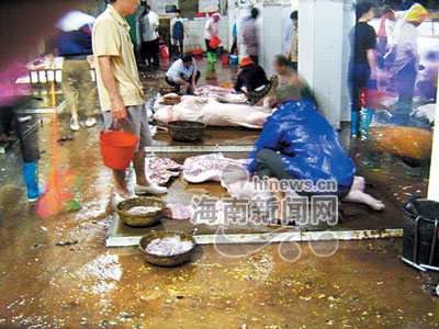 开云电竞app下载安装