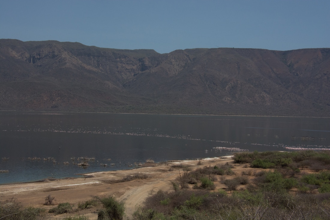 开云电竞app下载安装