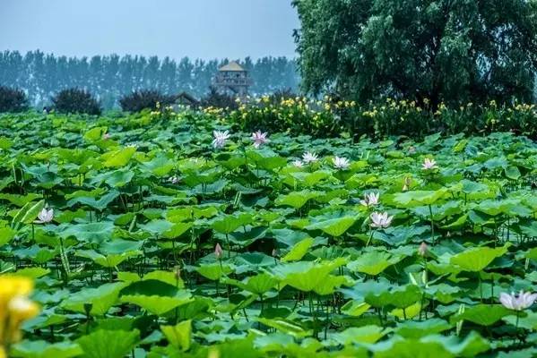 开云电竞app下载安装