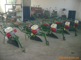 什么食物可以降血糖8种降血糖食物|开云电竞(图4) 开云电竞