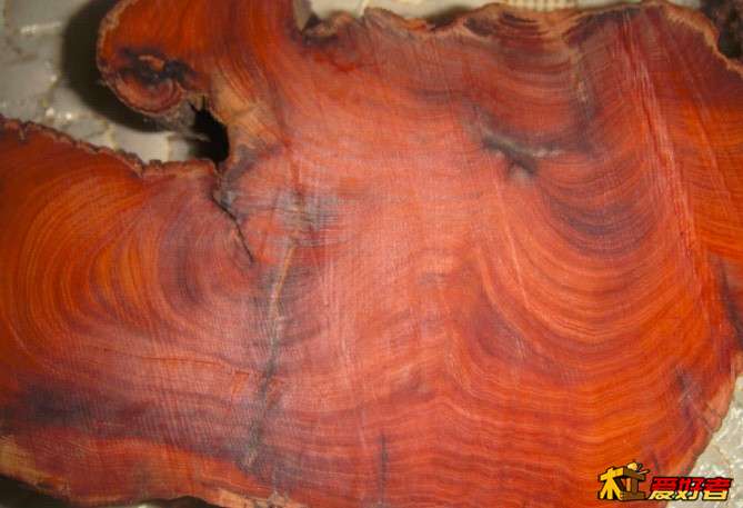 开云电竞官网-常换洗发水引发脱发男人脱发有什么适合的发型补救(图1) 开云电竞