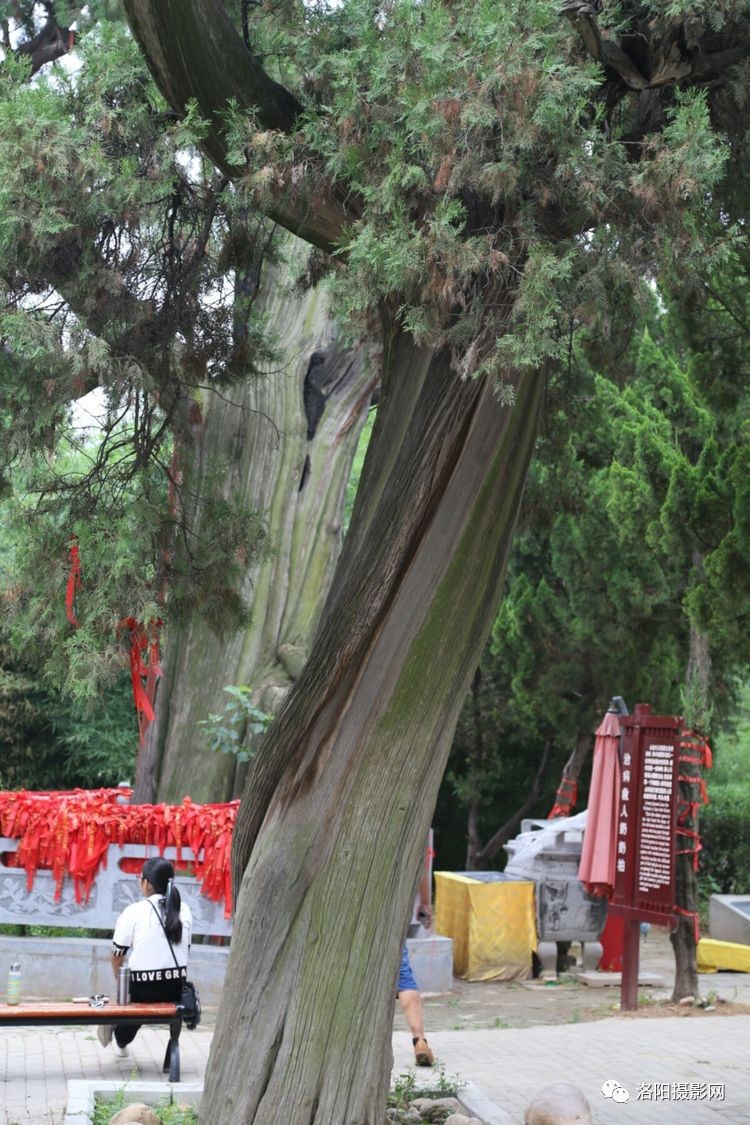 开云电竞app下载安装