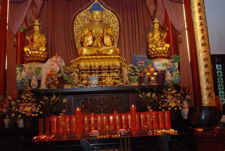 开云电竞app下载安装