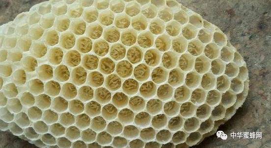 开云电竞app下载安装