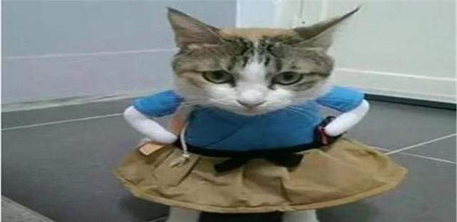 “开云电竞app下载安装”重庆武隆区哪个医院治疗白癜风好(图1) 开云电竞app下载安装