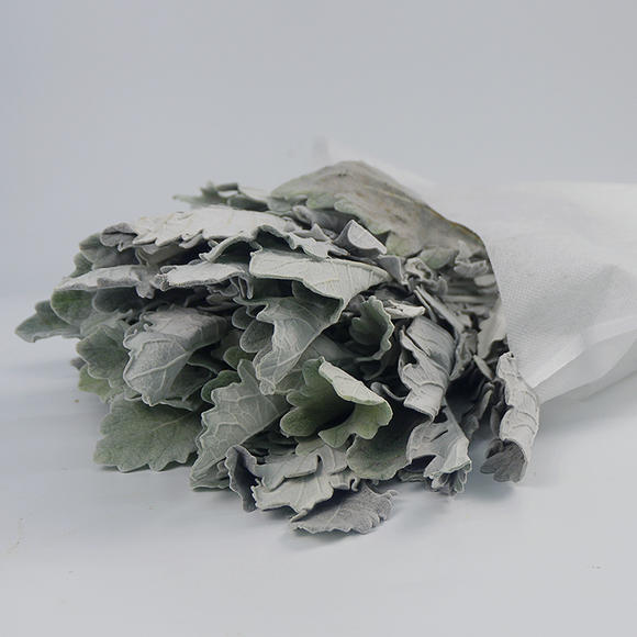 开云电竞app下载安装