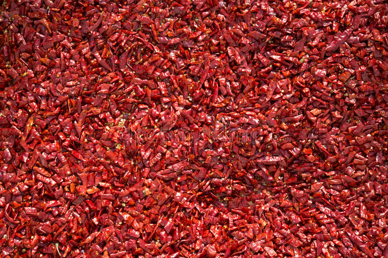 开云电竞app下载安装