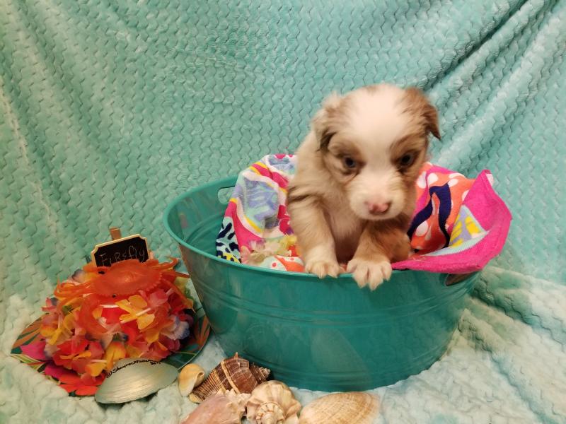 开云电竞app下载安装