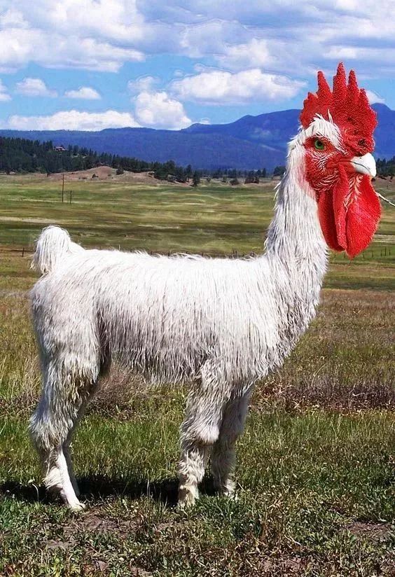 开云电竞app下载安装