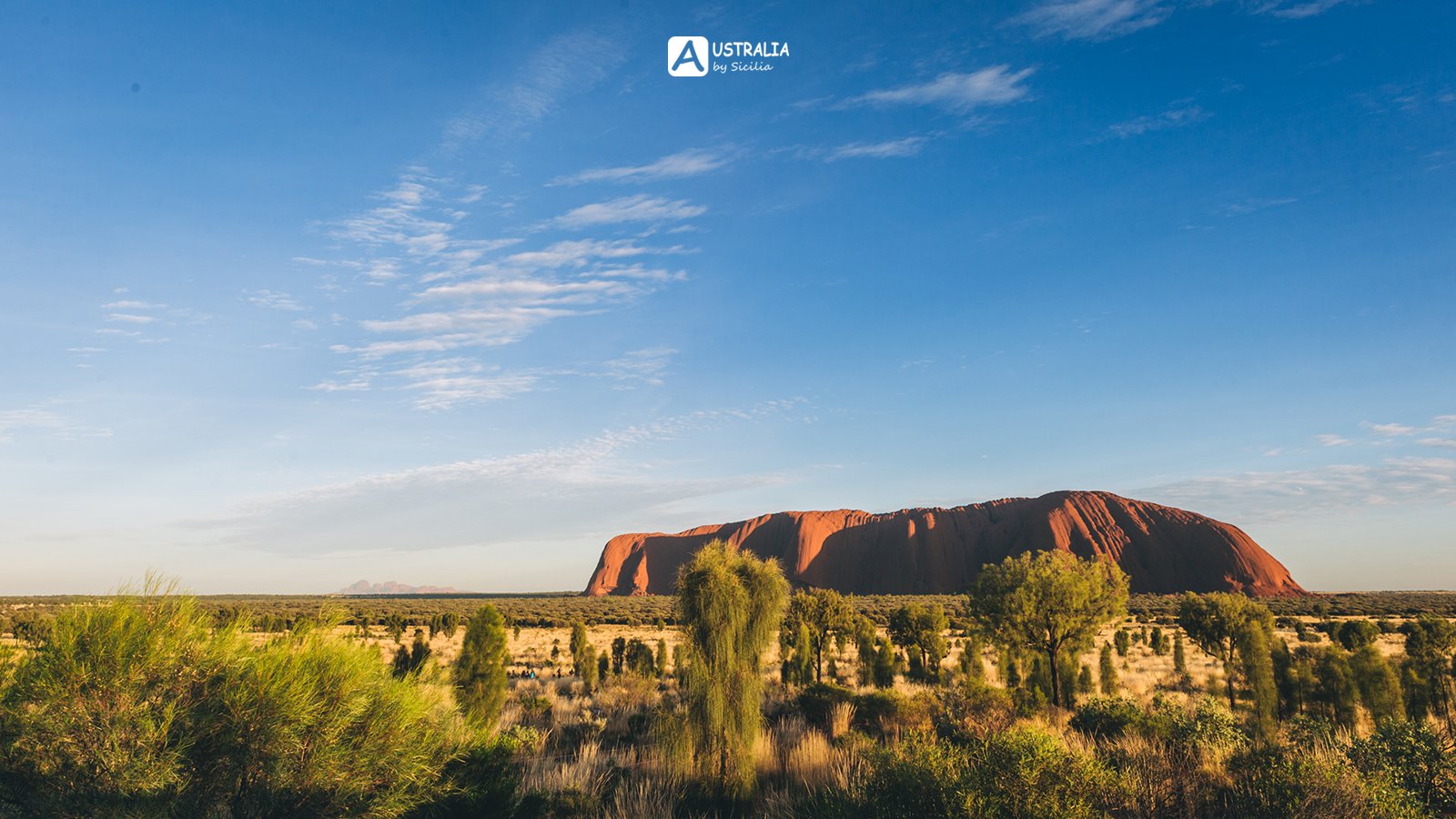 开云电竞-教育部职成司领导来山东调研职业教育工作(图1) 开云电竞官网