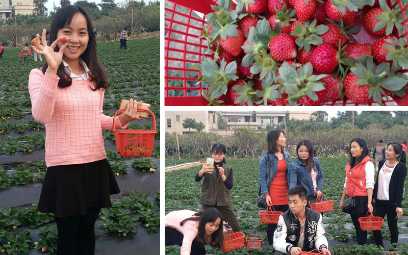 开云电竞|央视曝光蕨菜致癌哪些食物可以致癌(图3) 开云电竞