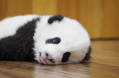 郑州儿童癫痫病到底可以治愈吗‘开云电竞官网’(图3) 开云电竞