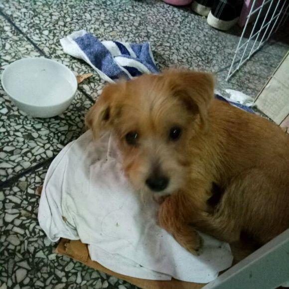 开云电竞官网:江西应用工程职业学院召开“远离传销、拒绝传销”学生工作大会(图2) 开云电竞