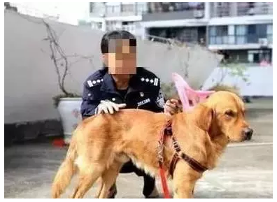 开云电竞app下载安装