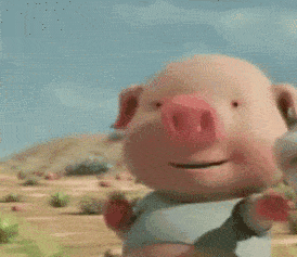 开云电竞app下载安装