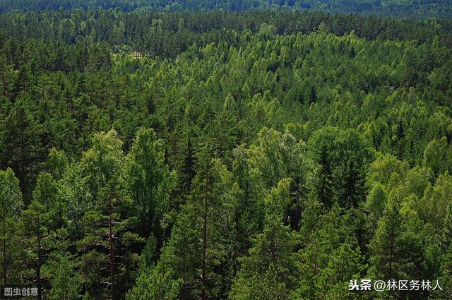 开云电竞app下载安装