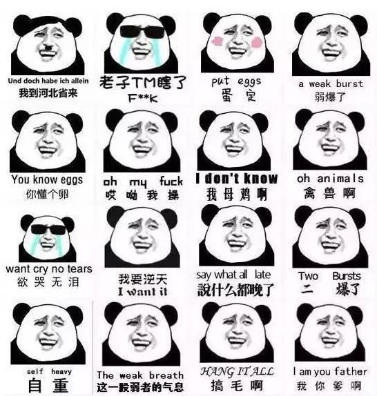 开云电竞app下载安装