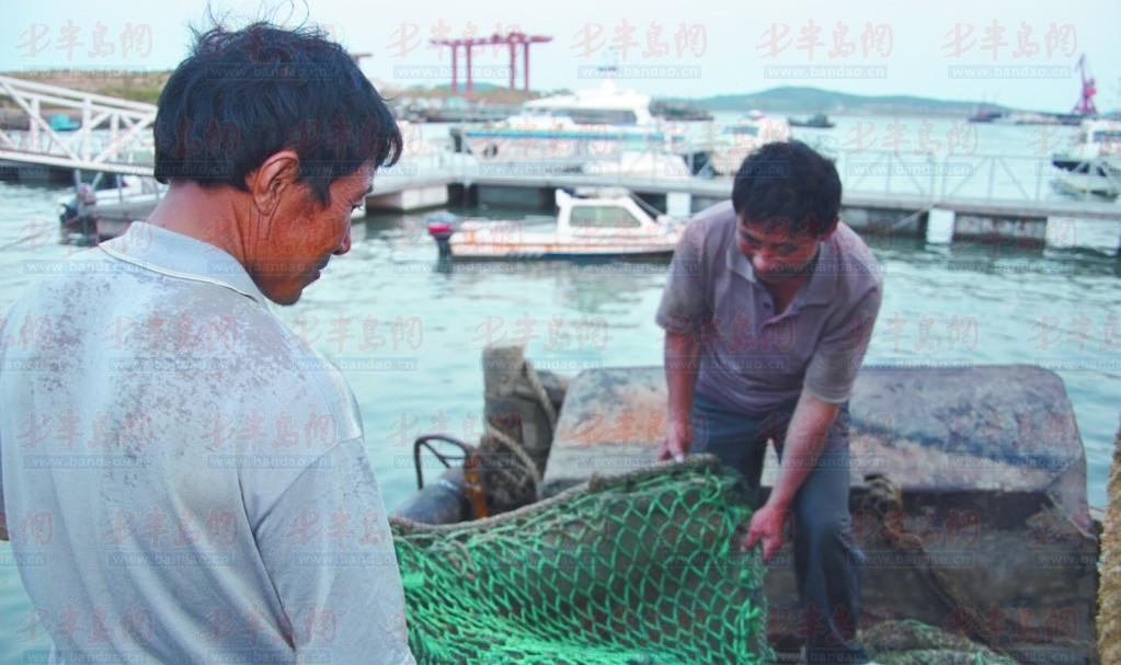 开云电竞app下载安装