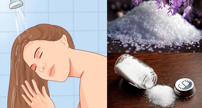 开云电竞app下载安装