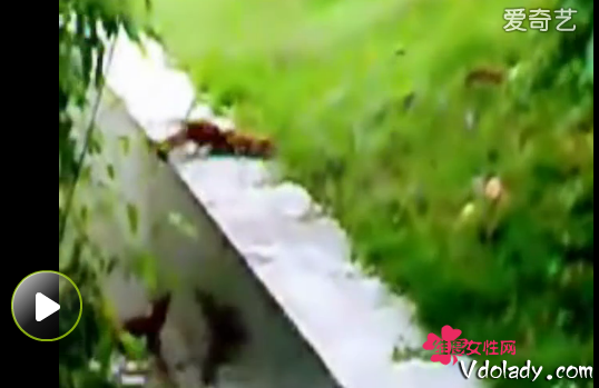 开云电竞app下载安装