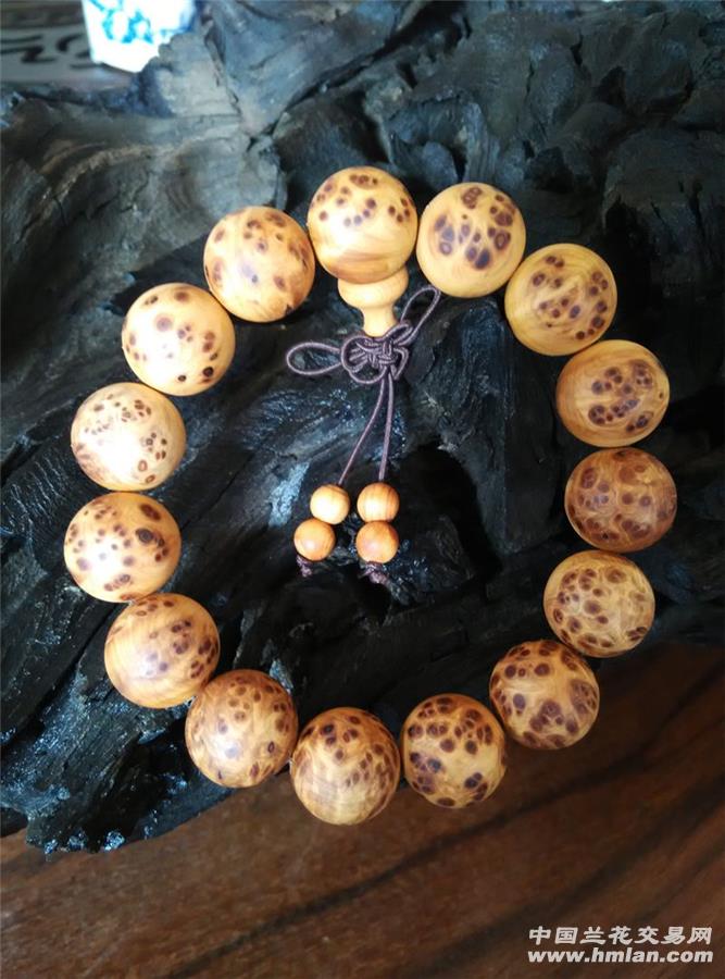 开云电竞app下载安装