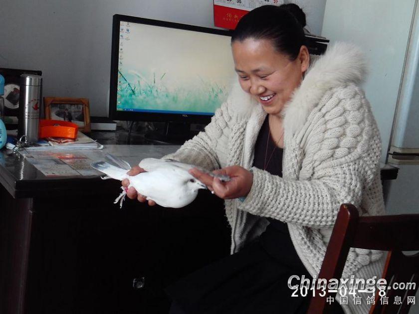 开云电竞app下载安装