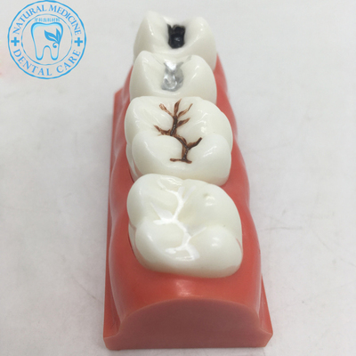 开云电竞app下载安装